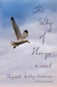 WHY_OF_THINGS_cover
